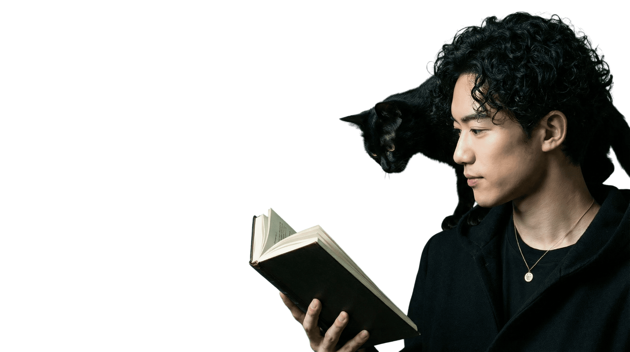 メンタリストDaiGoが猫と共に本を読む